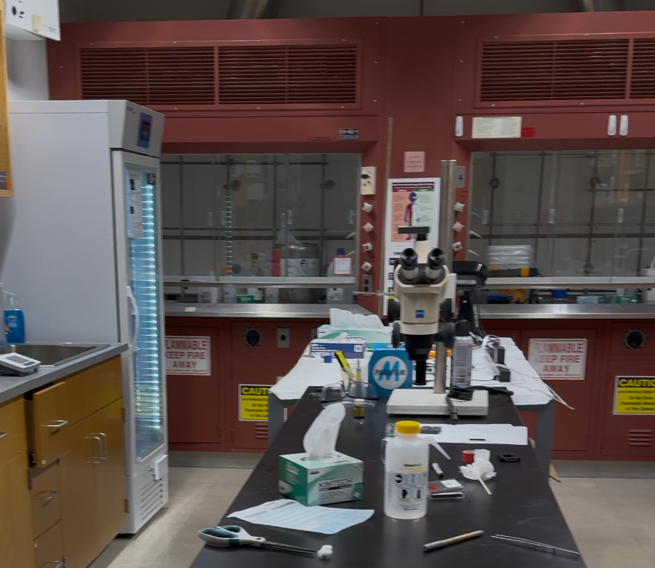 Photograph of two laboratory fume hoods behind a central workbench with a microscope and lab supplies.