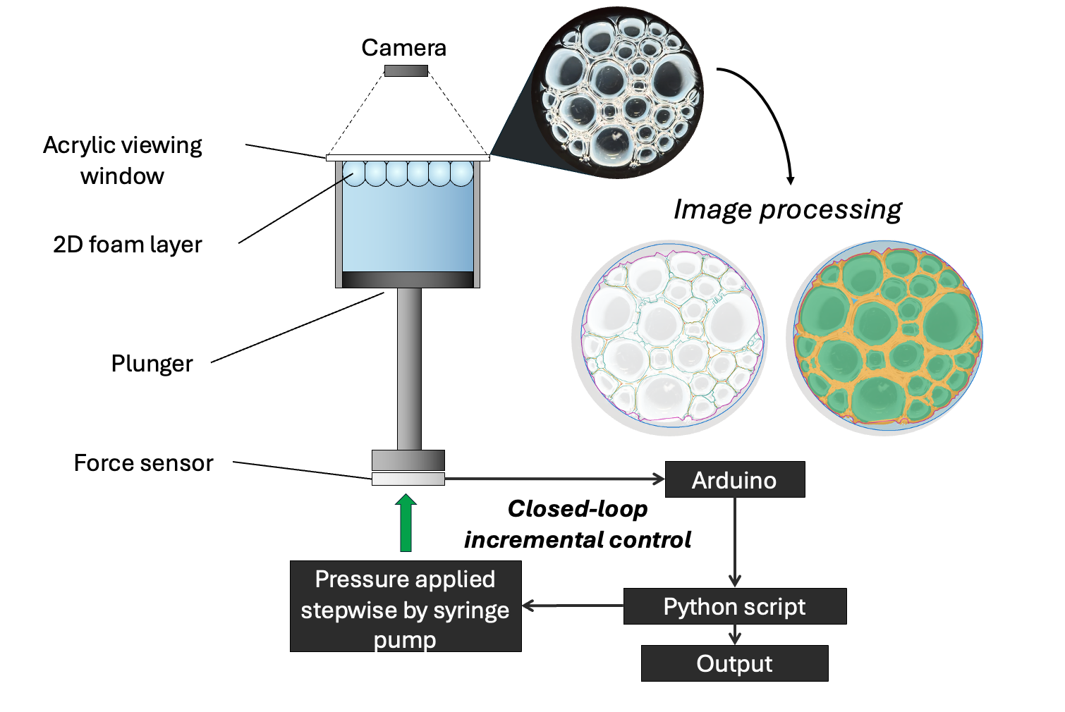 Diagram of a pressure cell containing a 2D foam layer, with camera imaging, a plunger, a force sensor, and a feedback control path.
