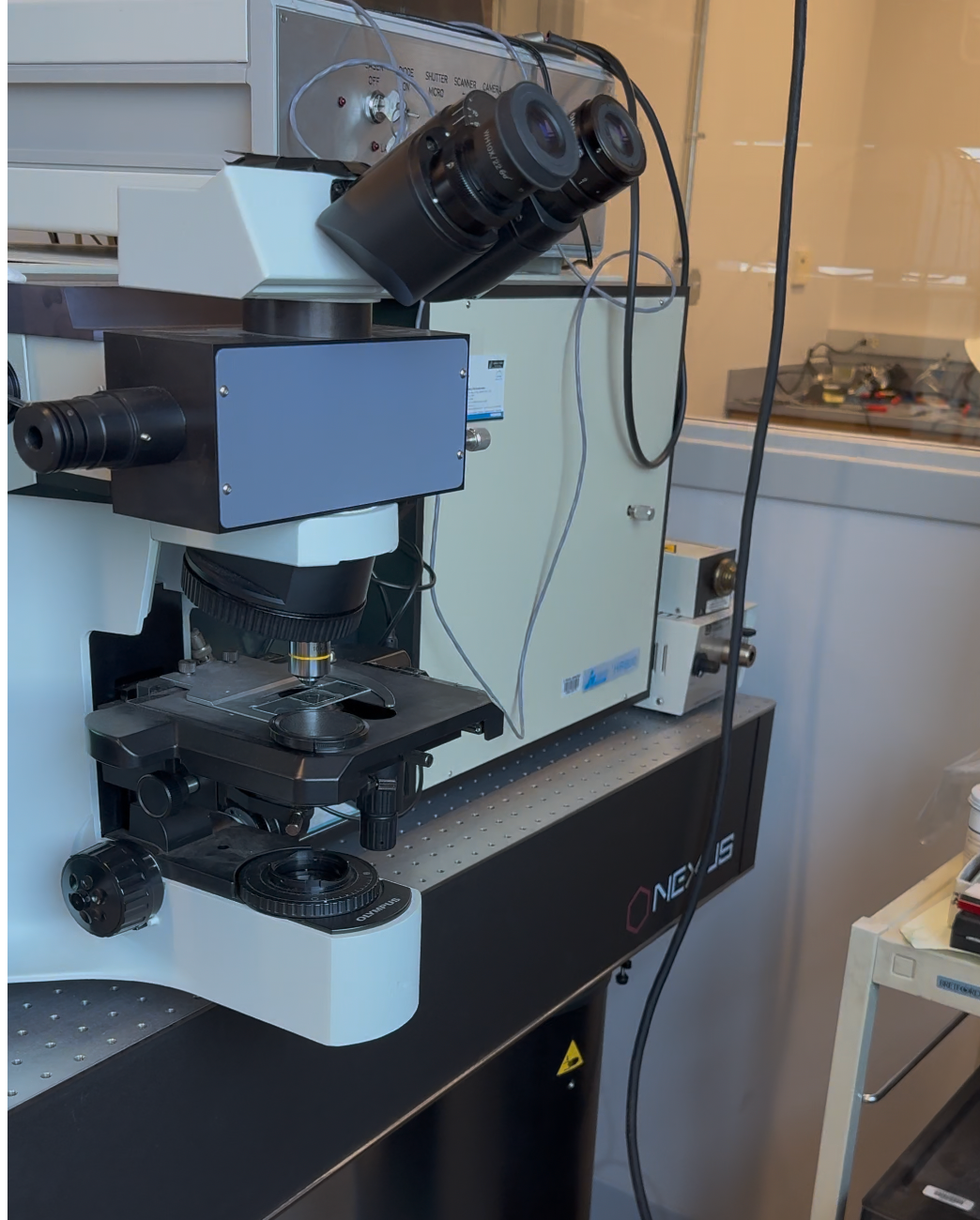 A microscope with binocular eyepieces and a sample stage beside an instrument enclosure on an optical table.